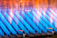 Warners End gas fired boilers
